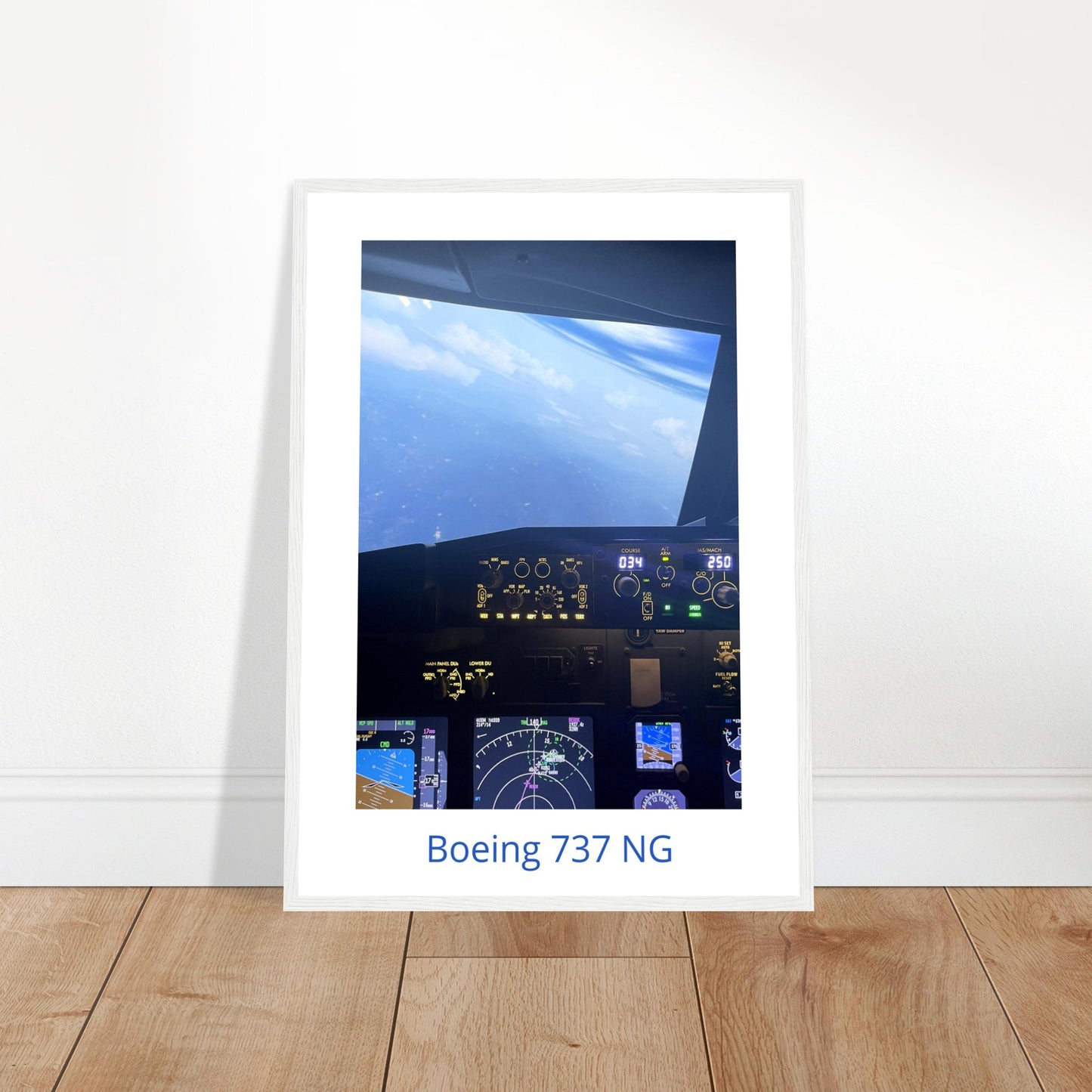 Boeing 737 Cockpit - Descent - Aviation Collection