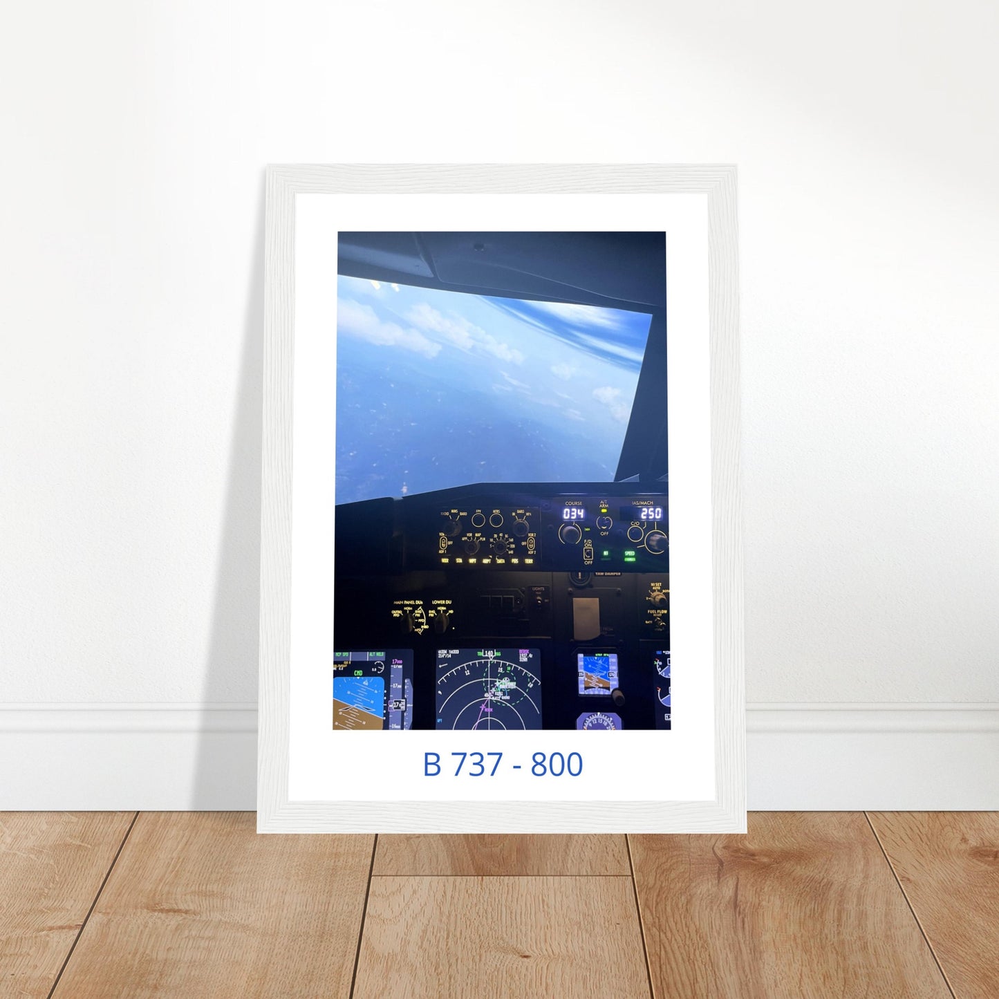 Boeing 737 Cockpit - Descent - Aviation Collection