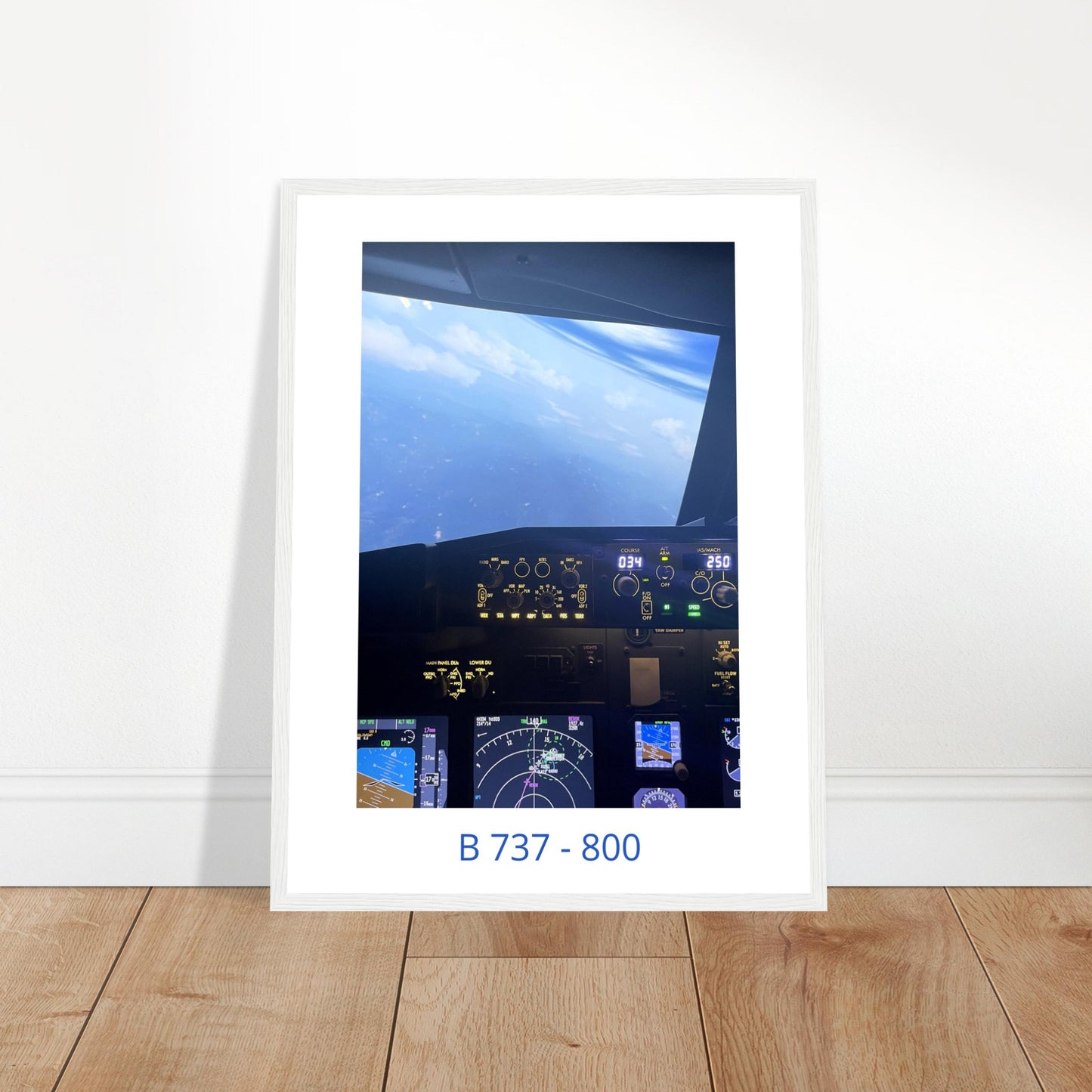 Boeing 737 Cockpit - Descent - Aviation Collection